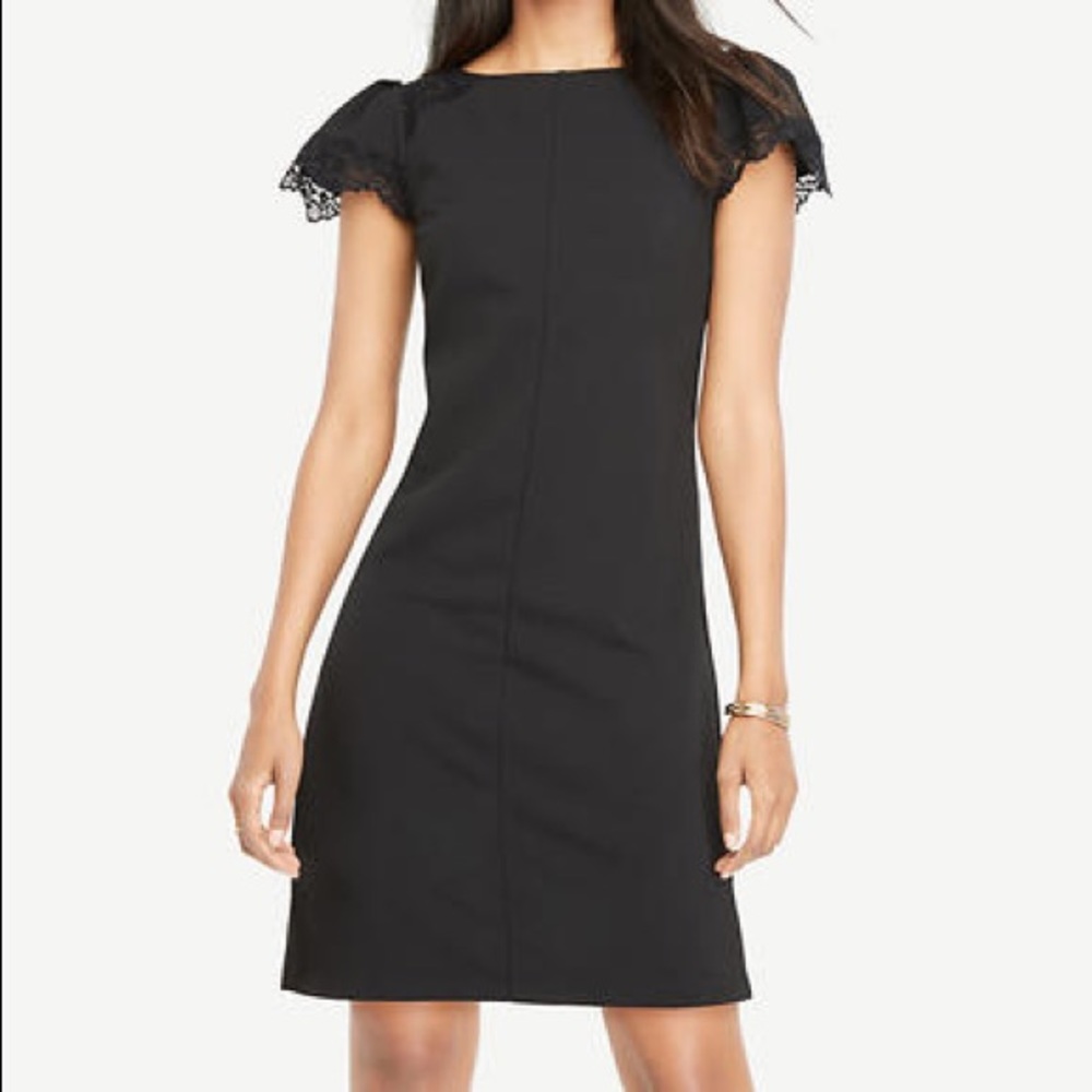 SOLD❌Ann Taylor Lace Detail Shift Dress